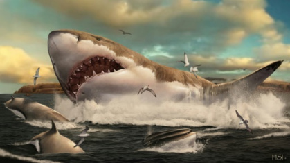 shark was actually quite thin, scientists say.jpg shark was actually quite thin, scientists say.jpg