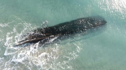 Archeologists probe mysterious Canadian shipwreck.jpg Archeologists probe mysterious Canadian shipwreck.jpg