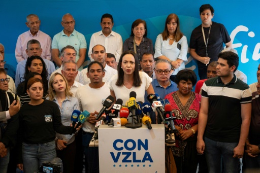 Venezuelan opposition registers unknown poll contender after obstacles