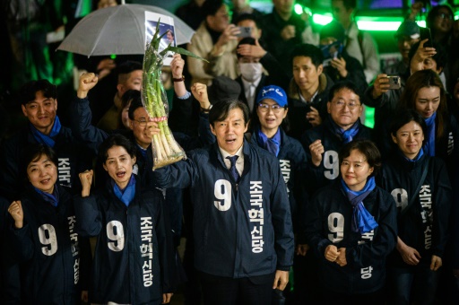 Green onion outcry: humble vegetable roils S. Korean vote