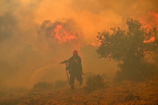 Europe suffered record number of 'extreme heat stress' days in 2023: monitors