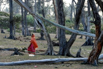 The Indian villagers who lost their homes to the sea.jpg The Indian villagers who lost their homes to the sea.jpg