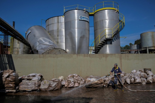 Flood-hit Brazil businesses count losses, look to future