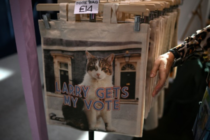 Larry the Downing Street cat.jpg Larry the Downing Street cat.jpg