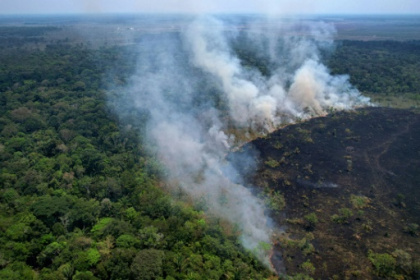 Brazil's Amazon sees worst 6 months of wildfires in 20 years.jpg Brazil's Amazon sees worst 6 months of wildfires in 20 years.jpg