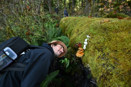mushroom hunters seek new species and recognition.jpg mushroom hunters seek new species and recognition.jpg