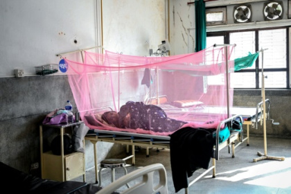 Climate shifts and urbanisation drive Nepal dengue surge.jpg Climate shifts and urbanisation drive Nepal dengue surge.jpg