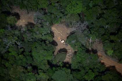Brazil's Amazon posts lowest deforestation in nine years.jpg Brazil's Amazon posts lowest deforestation in nine years.jpg