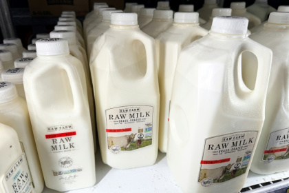 Health experts have warned people against drinking raw milk, which has the potential to be contaminated with bird flu Health experts have warned people against drinking raw milk, which has the potential to be contaminated with bird flu