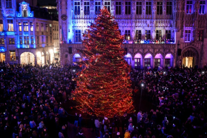 Belgium's food safety agency warned the public about eating Christmas trees Belgium's food safety agency warned the public about eating Christmas trees