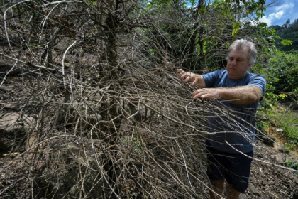 Moacir Donizetti lost acres of coffee crop amid a drought-fueled fire last year Moacir Donizetti lost acres of coffee crop amid a drought-fueled fire last year