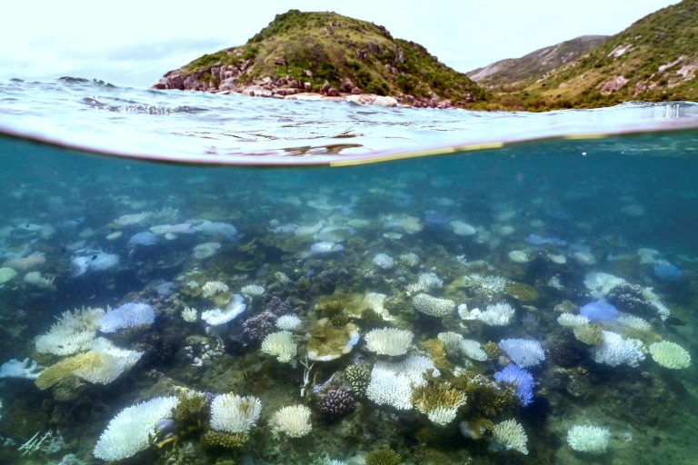 Australia sweats through hottest 12 months on record: official data