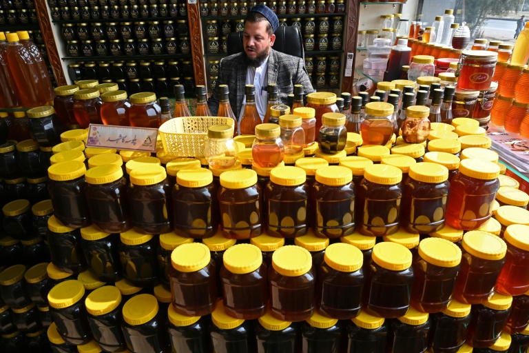 Plan B: Climate change forces Pakistan beekeepers to widen pursuit of flowers