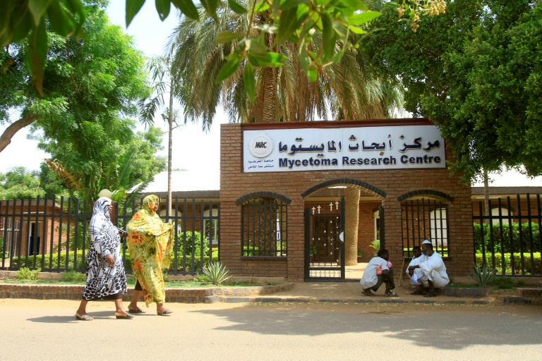 Sudan war destroys world's only research centre on skin disease mycetoma: director