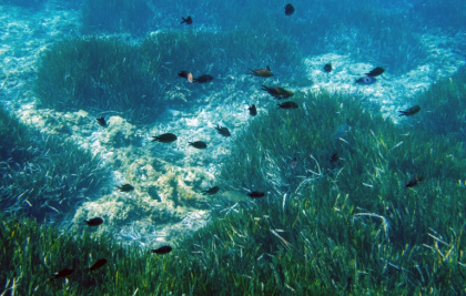 Understanding the seabed is crucial for laying undersea cables, calculating tsunami paths and projecting sea level rises Understanding the seabed is crucial for laying undersea cables, calculating tsunami paths and projecting sea level rises