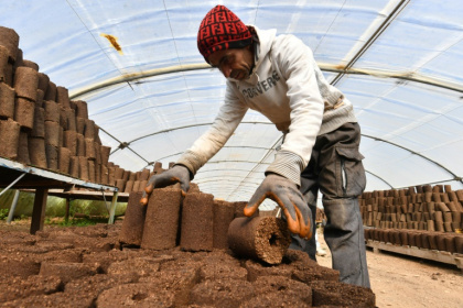 A man arranges rolls of olive pomace at the grounds of start-up Bioheat in the town of Sanhaja near Tunis A man arranges rolls of olive pomace at the grounds of start-up Bioheat in the town of Sanhaja near Tunis