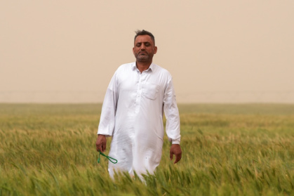 Iraqi farmer Hadi Saheb says he is cultivating 20 times more land than before in the Najaf desert thanks to groundwater and a government initiative Iraqi farmer Hadi Saheb says he is cultivating 20 times more land than before in the Najaf desert thanks to groundwater and a government initiative