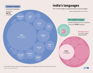 Infographic chart showing India's mother tongue languages - John SAEKI (AFP) Infographic chart showing India's mother tongue languages - John SAEKI (AFP)