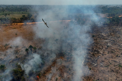 Illegal burning of the Amazon rainforest near Humaita, in the northern Brazilian state of Amazonas, in September 2024 - MICHAEL DANTAS (AFP) Illegal burning of the Amazon rainforest near Humaita, in the northern Brazilian state of Amazonas, in September 2024 - MICHAEL DANTAS (AFP)