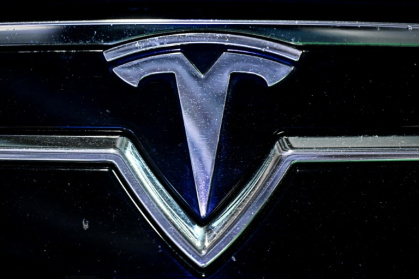 Tesla sales in the EU have nearly halved, with many customers looking for electric cars put off by Elon Musk's political positions - JULIEN DE ROSA (AFP)