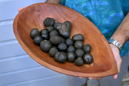 Huge tracts of Pacific Ocean seabed are carpeted in polymetallic nodules, bulbous lumps of rock that are rich in metals used in battery production - William WEST (AFP) Huge tracts of Pacific Ocean seabed are carpeted in polymetallic nodules, bulbous lumps of rock that are rich in metals used in battery production - William WEST (AFP)
