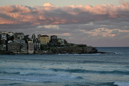 Bull sharks are lingering off Sydney's beaches for longer periods each year as oceans warm, researchers say, predicting they may one day stay all year - SAEED KHAN (AFP) Bull sharks are lingering off Sydney's beaches for longer periods each year as oceans warm, researchers say, predicting they may one day stay all year - SAEED KHAN (AFP)