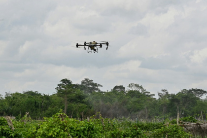 A drone sprays fungicides in passion fruit fields in Ivory Coast - Issouf SANOGO (AFP)