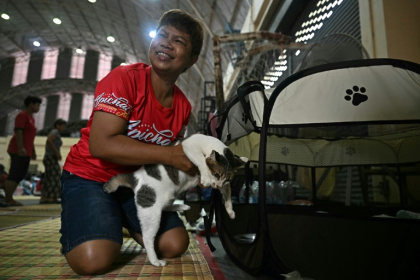 Thai seamstress Pornpan Sooksai did not hesitate to corral her quintet of cats to safety, even as the cross-border blasts from Cambodia rang out - Lillian SUWANRUMPHA (AFP)