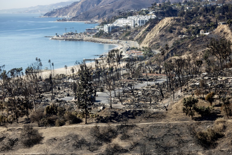 Suspect in US court months after deadly Los Angeles fire