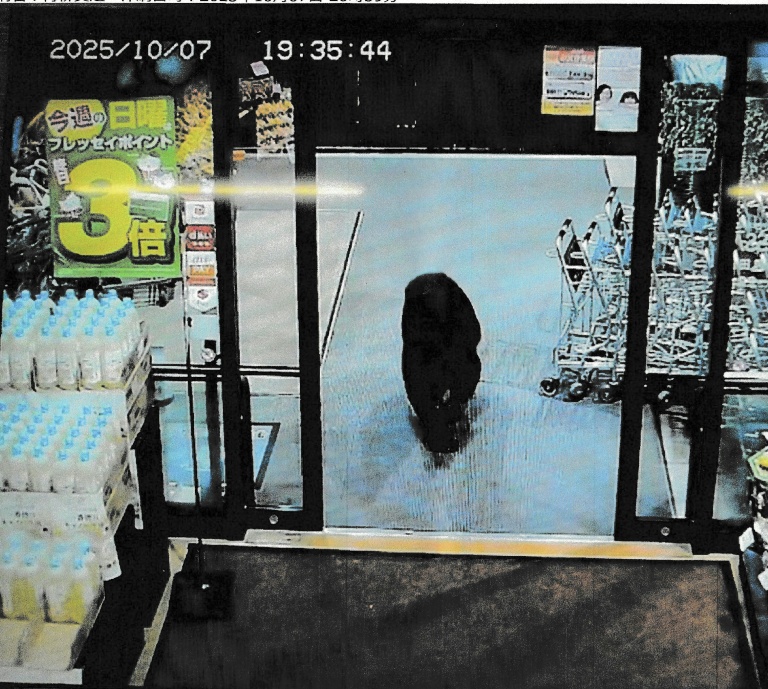 Bear injures two in Japan supermarket, man killed in separate attack