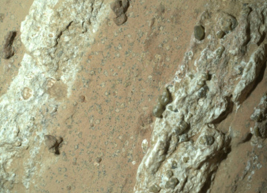 An image taken by NASA's Perseverance rover that shows "leopard spots" on a reddish rock nicknamed "Cheyava Falls" in Mars' Jerezo Crater in July 2024 - HANDOUT (AFP)