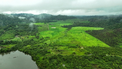The Amazon forest nears a 'point of no return' after losing 13 percent of its area in Brazil in the past 40 years - Carlos FABAL (AFP)