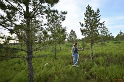 A student works in the greening project across arid and desert regions, known as the "Great Green Wall" in the Kubuqi Desert, in Ordos, in China's northern Inner Mongolia region - Pedro PARDO (AFP) A student works in the greening project across arid and desert regions, known as the "Great Green Wall" in the Kubuqi Desert, in Ordos, in China's northern Inner Mongolia region - Pedro PARDO (AFP)