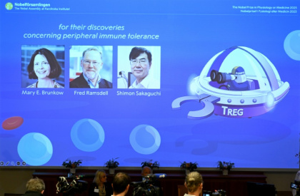 The Medicine Prize was awarded for research into how the immune system is kept in check - Jonathan Nackstrand (AFP) The Medicine Prize was awarded for research into how the immune system is kept in check - Jonathan Nackstrand (AFP)