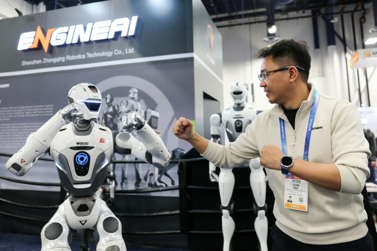 Dancing isn't enough: industry pushes for practical robots