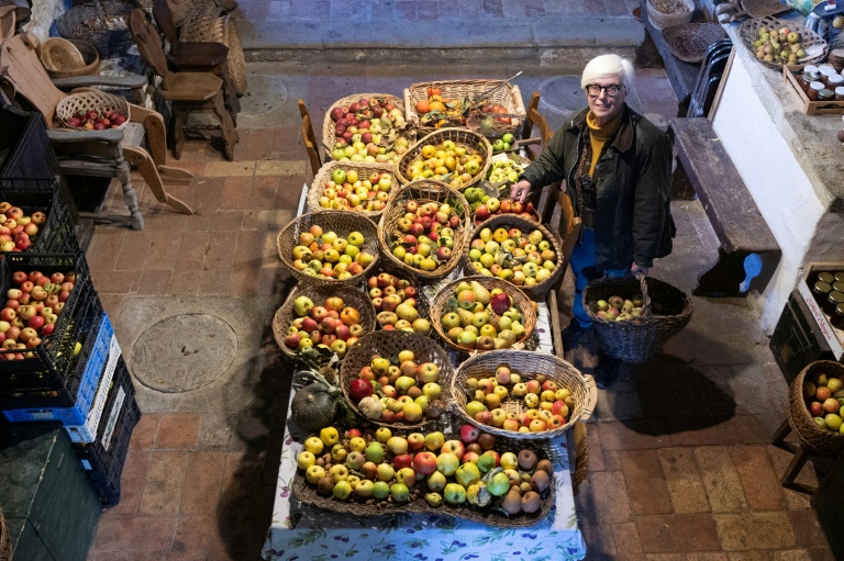 Italian fruit detective racing to save forgotten varieties