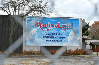 A Marineland poster at the now-closed entrance of the park - Daphné LEMELIN (AFP)