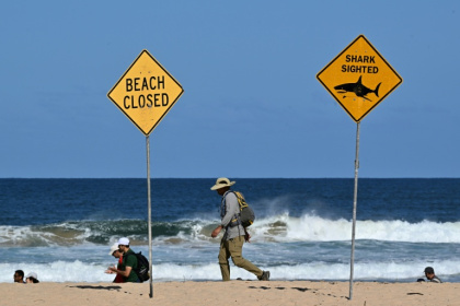Hundreds of satellite-linked buoys lie off the eastern coast of Australia to catch sharks - Saeed KHAN (AFP)