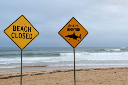Authorities warned surfers and swimmers to stay out of the water after a spate of shark attacks in Australia's state of New South Wales - Steven Markham (AFP)