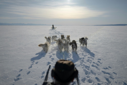 Dogsled teams are low-tech and durable, members of the Sirius patrol argue, making them the best tool for patrolling Greenland's vastness - INA FASSBENDER (AFP)