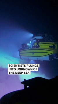 deep sea.png