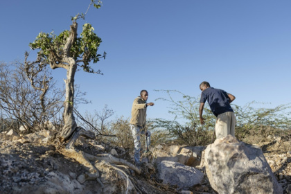 Mohamed Abdi Cige(L),28, a mine owner works alongside miner Ahmed Ibrahim (R),52, at a pit that contains traces of lithium - Tony KARUMBA (AFP)