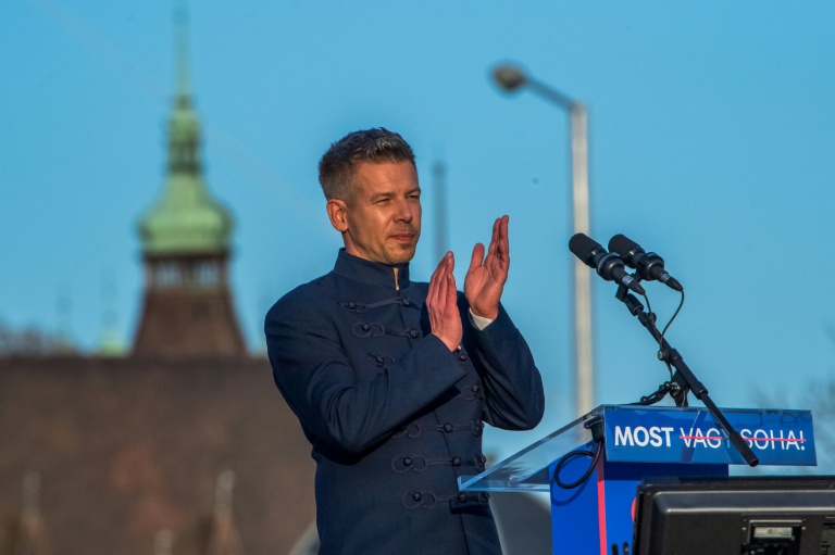 Peter Magyar: former govt insider promising system change