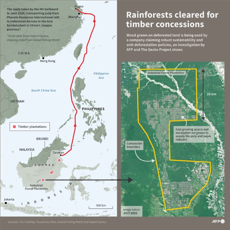 Indonesia orangutan forest cleared for 'carbon-neutral' packaging firm