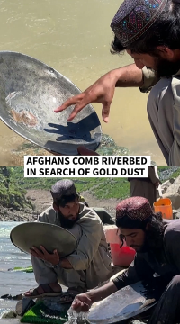 afghan gold dust.png