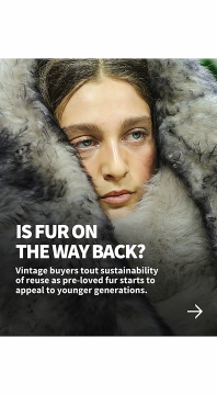 fur.png