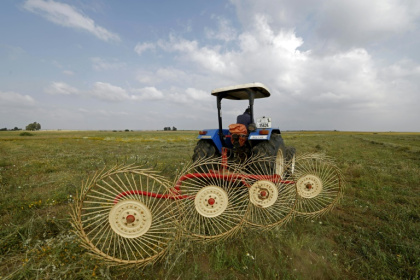 A farmer uses a hay-collecting machine in a field in the Zehiliga region of Morocco. Rising fertiliser costs are threatening the livelihoods of many farmers - Abdel Majid BZIOUAT (AFP)