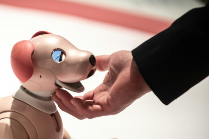 Aibo dogs can perform tricks like waving and mimicking its owner - Philip FONG (AFP)