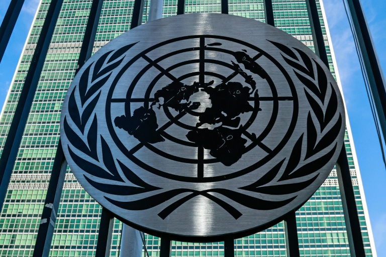 Who are the candidates vying to lead the UN?