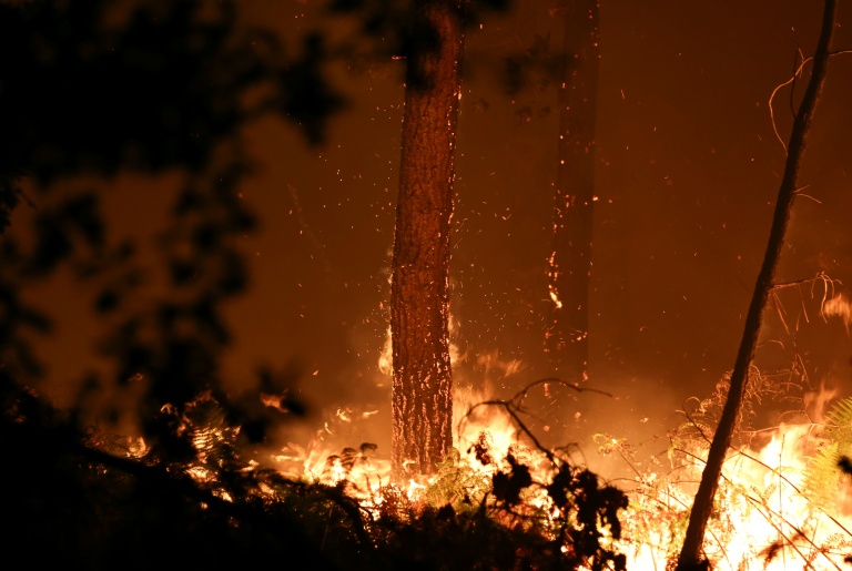 World must prepare for 'reality' of missing 1.5C goal: UN